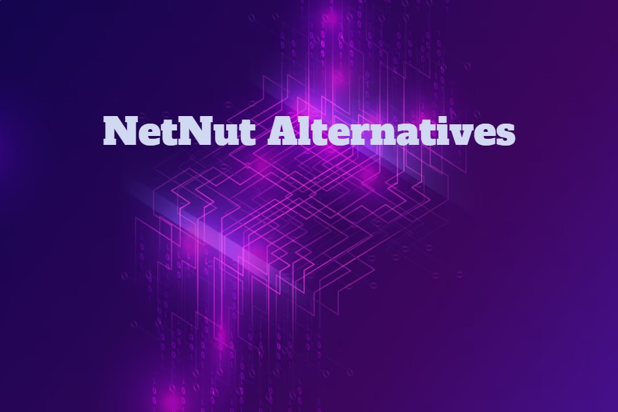 7 NetNut Alternatives Worth Considering for Reliable Proxy Performance in 2026