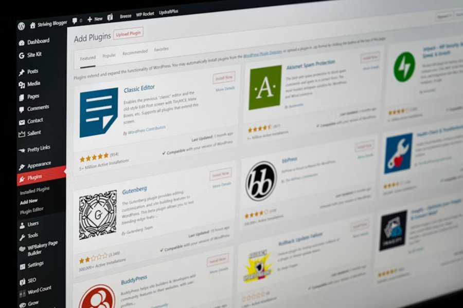 7 Signs Your WordPress Theme Demo Needs VPS Hosting